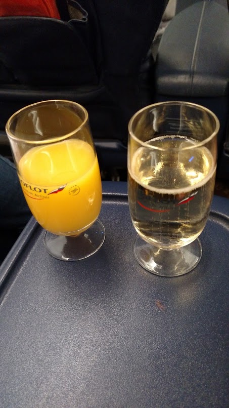 A Skyteam Aeroflot experience – a guest post from Dr. John