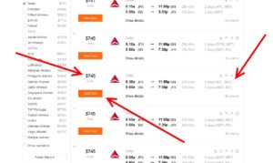 what to pick jfk atl nrt sin rt