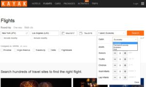 kayak search options
