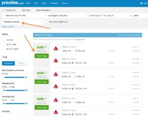 priceline results for prem economy