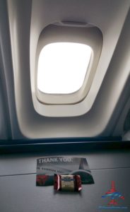 RenesPoints Delta Million Miler flight (1)