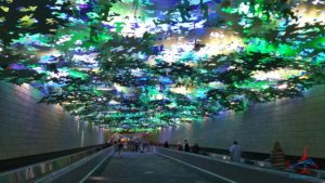 is-it-worth-it-to-drive-to-a-big-city-to-save-money-on-airfare-renespoints-travel-blog-chicago-ord-review-4