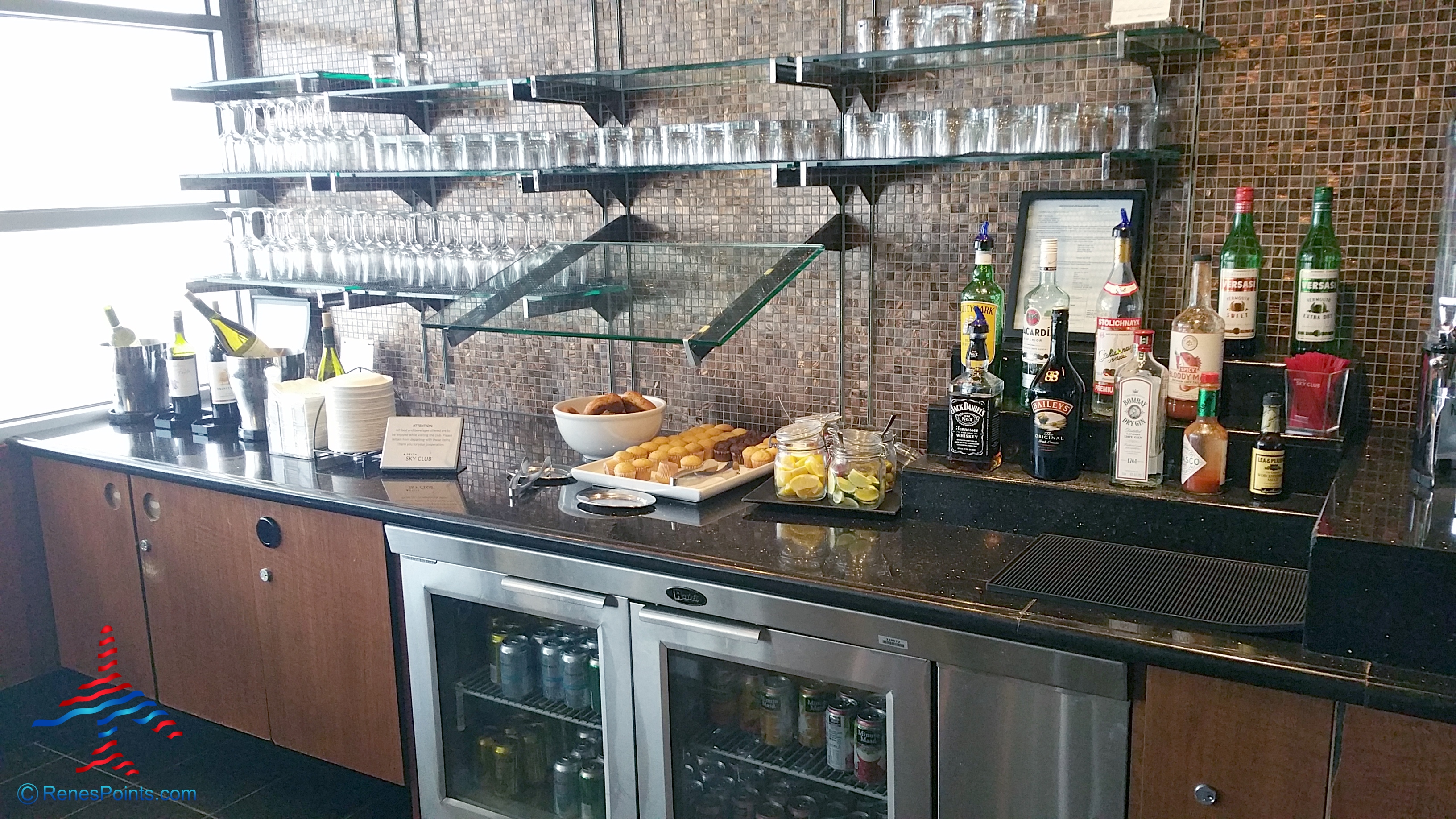 Delta Sky Club Review Minneapolis MSP B/C (near C gates) Review