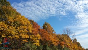 fall colors renespoints blog