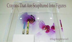 dsc_8834_orchid-crayon-scupltures