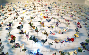 dsc_8896_asanda-spa-butterfly-art-display-seattle-delta-skyclub-seatac-laptoptravel_02