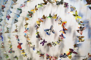 dsc_8898_asanda-spa-butterfly-art-display-seattle-delta-skyclub-seatac-laptoptravel_
