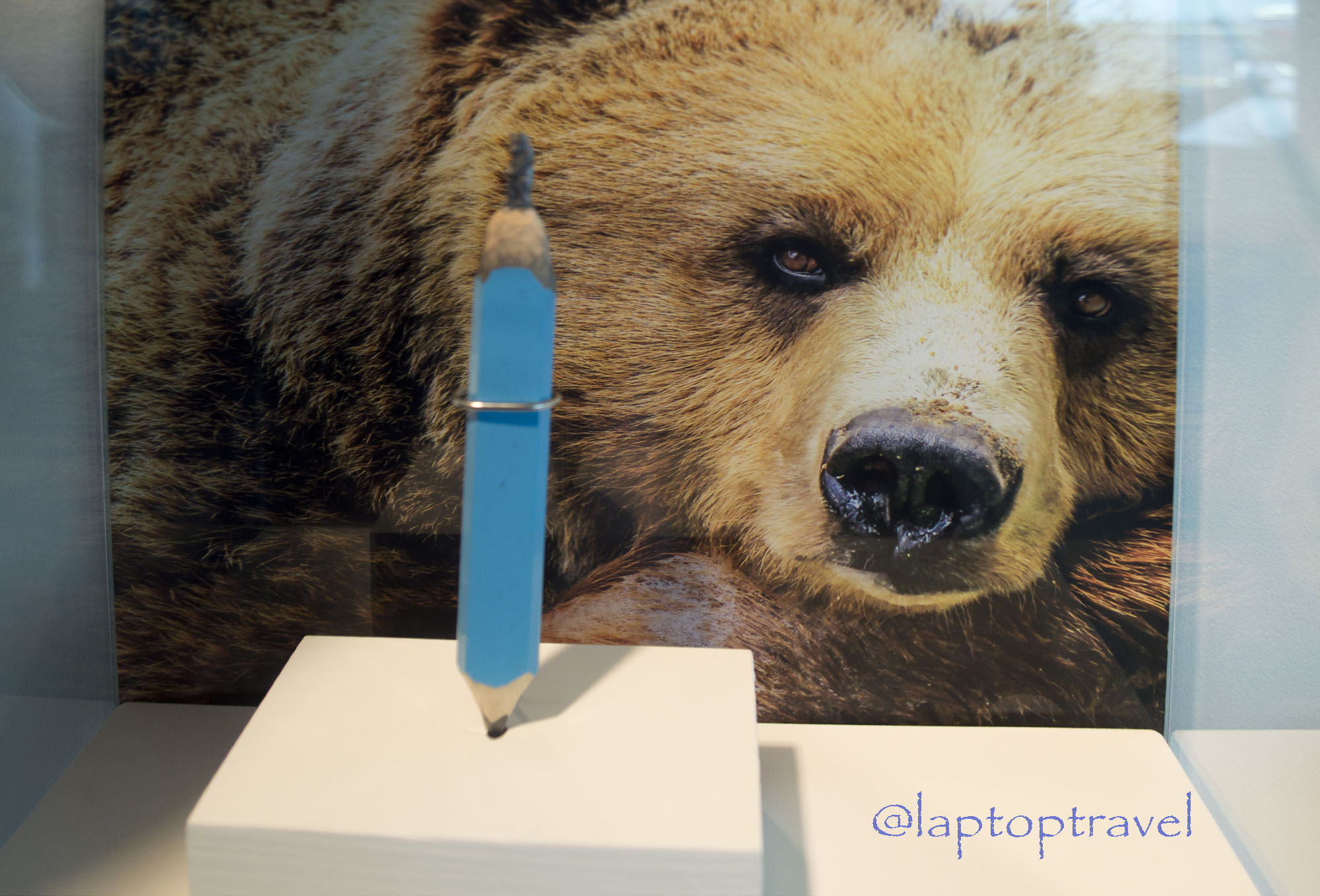 Review of Delta’s Newest Massive Flagship Sky Club in Seattle SEA – A First-Hand Visit