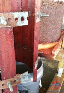 michigan-grapes-for-wine-renespoints-blog-puremichigan-joy-13