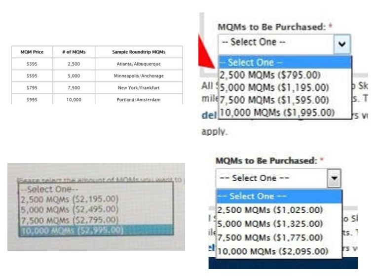 Why You Should Consider a Custom Delta Elite Mileage Run Now (vs paying dearly later)!