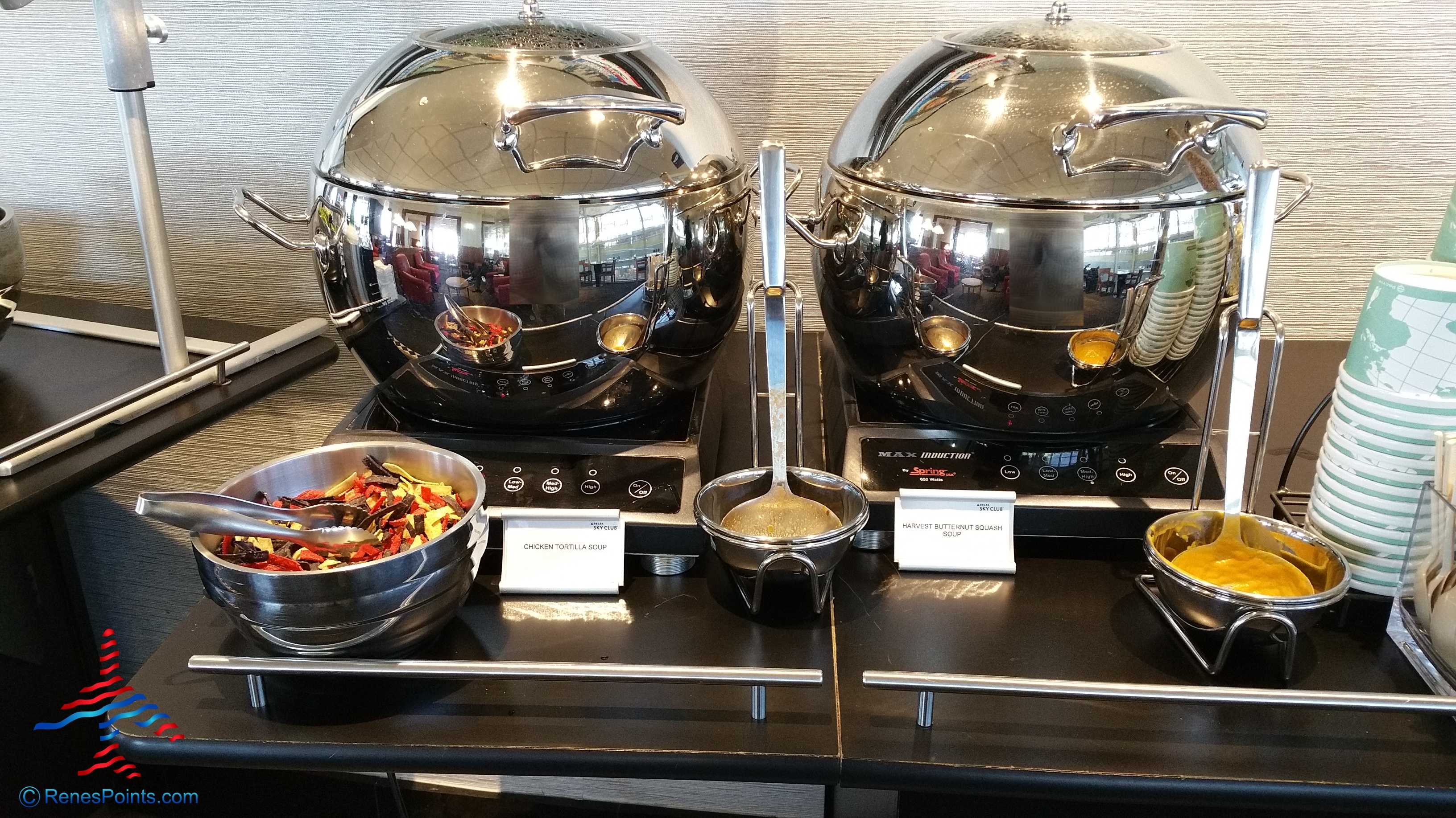 Delta Sky Club DCA Ronald Reagan Washington National Airport Review