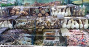 renespoints-blog-visit-to-hong-kong-hkg-in-photos-14