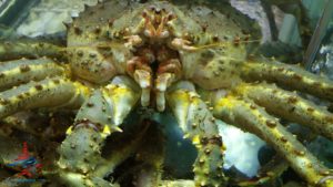 renespoints-blog-visit-to-hong-kong-hkg-in-photos-15