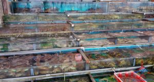 renespoints-blog-visit-to-hong-kong-hkg-in-photos-16