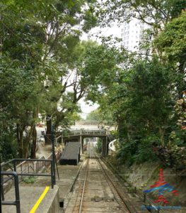 renespoints-blog-visit-to-hong-kong-hkg-in-photos-5