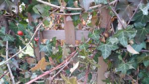 RenesPoints LG V20 sample photos cam 1 and fisheye cam 2 examples Phone Review (3)