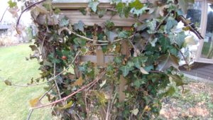 RenesPoints LG V20 sample photos cam 1 and fisheye cam 2 examples Phone Review (4)