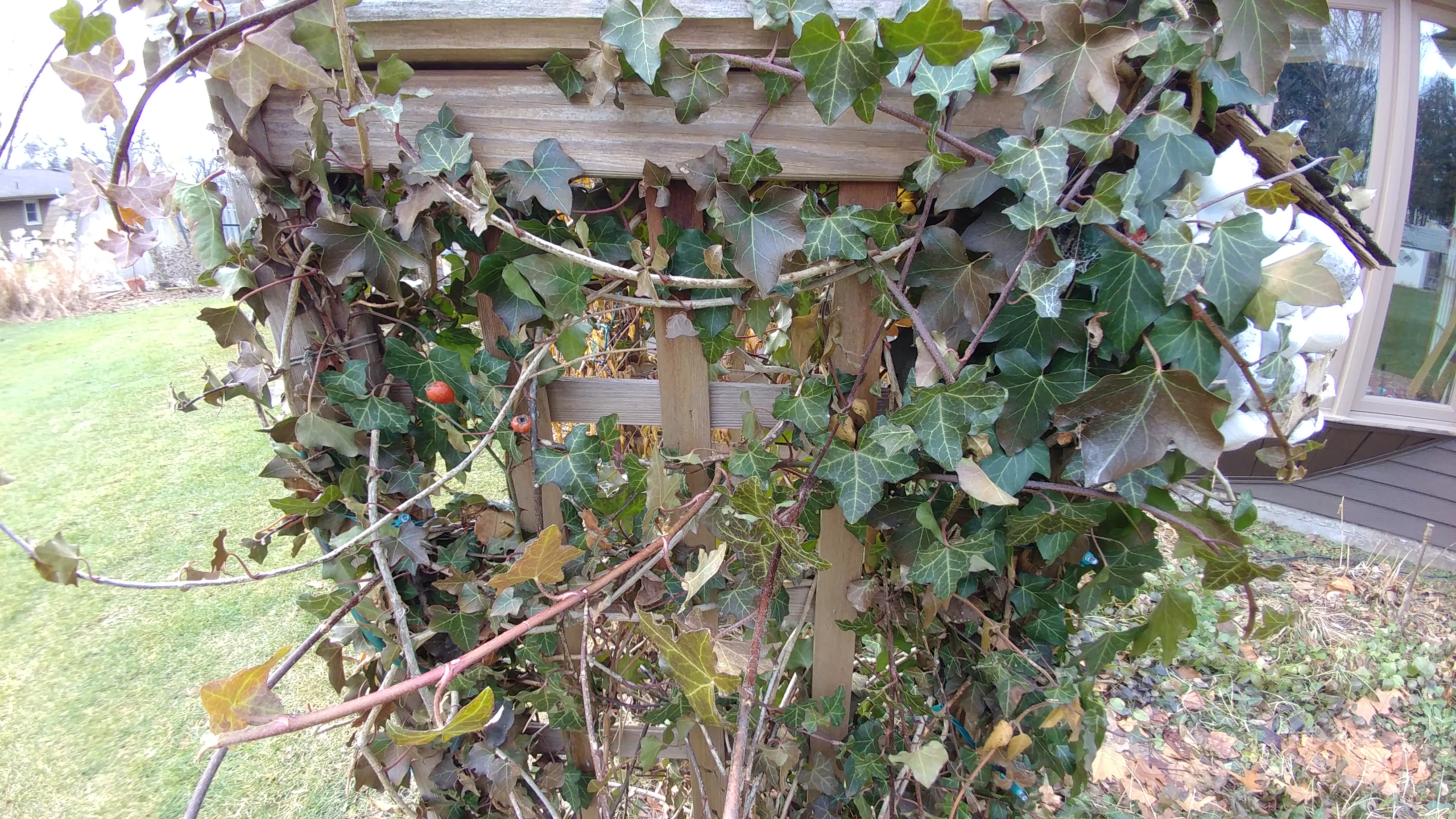 What is your worst travel fear? Is it losing your: Phone, ID, Credit Card or Laptop?