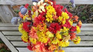 RenesPoints LG V20 sample photos cam 1 and fisheye cam 2 examples Phone Review (7)