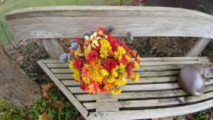 RenesPoints LG V20 sample photos cam 1 and fisheye cam 2 examples Phone Review (8)