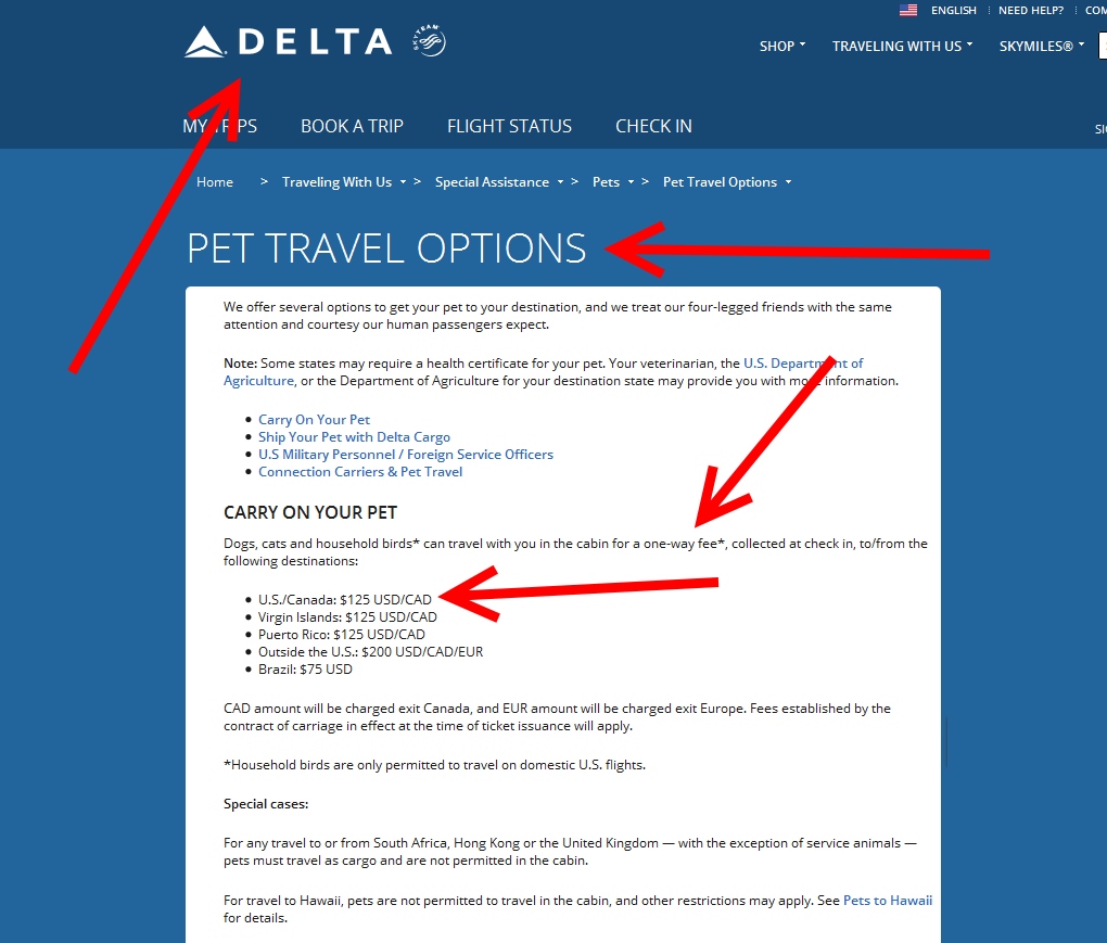 Are the airlines primarily at fault for the ESA Emotional Support Animal problem? I think so!