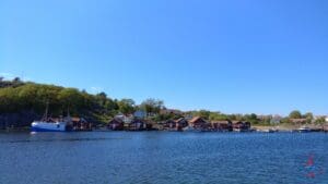 a body of water with houses and trees