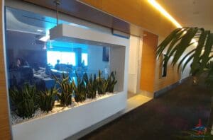 a plant in a glass container