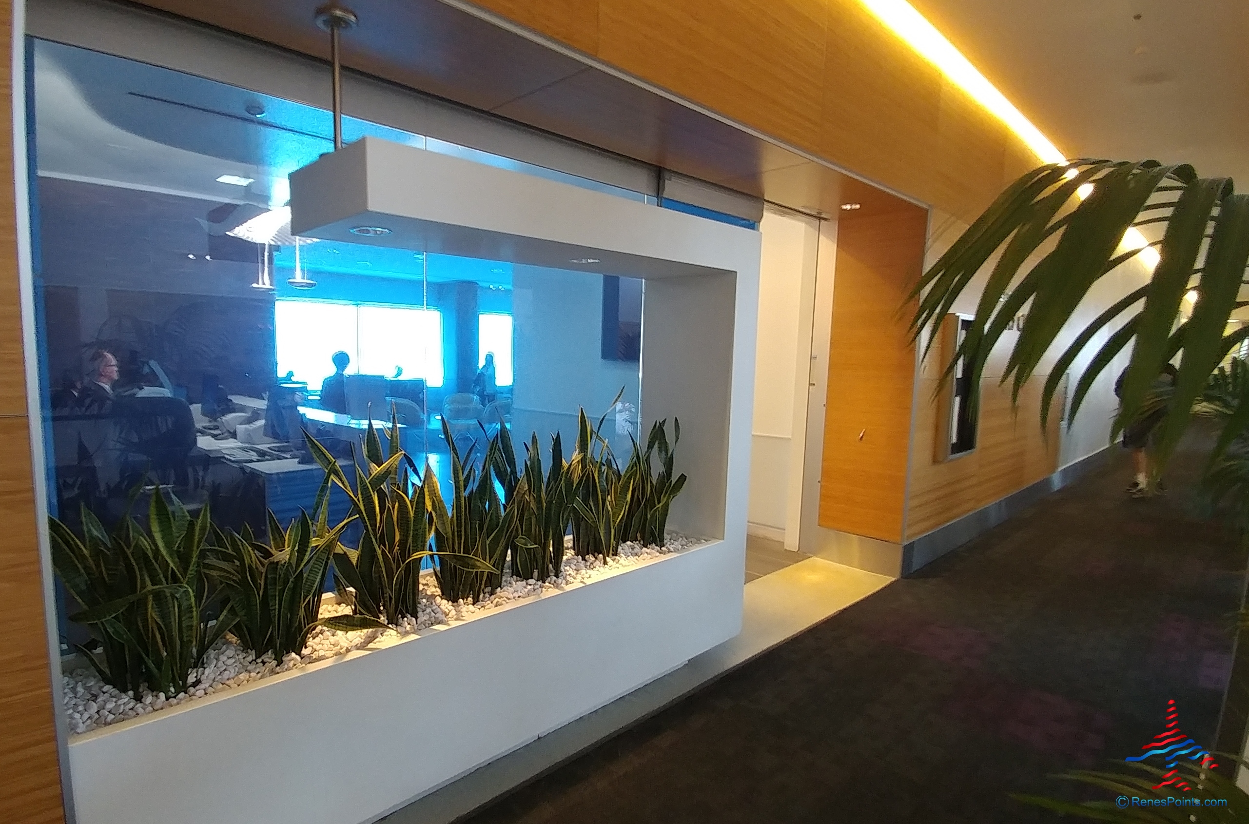 Delta Air Lines Los Angeles LAX Terminal 2 – T2 Sky Club Review