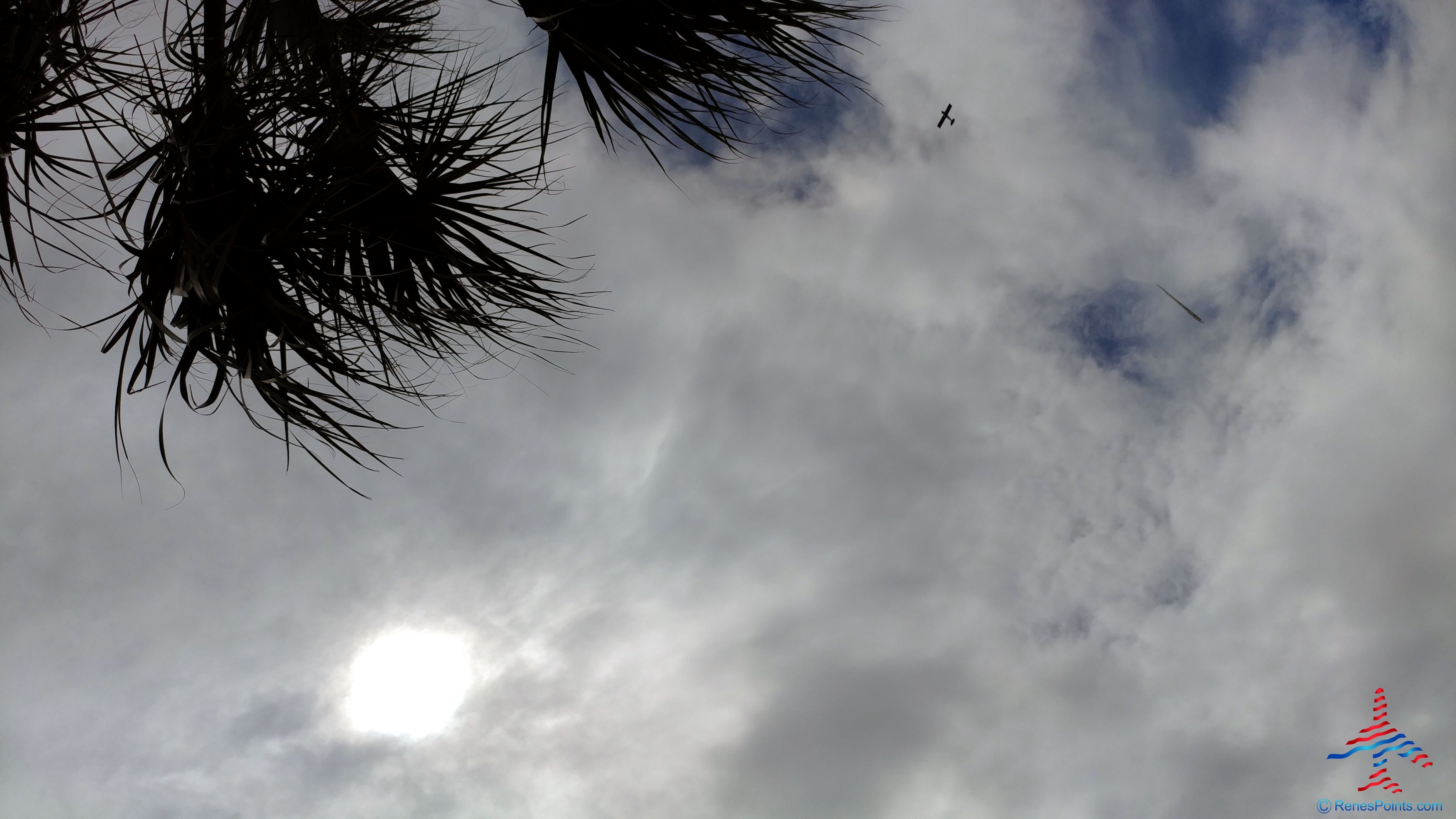 My “perfect” Charleston SC Eclipse trip 2017 – What a great use of points!