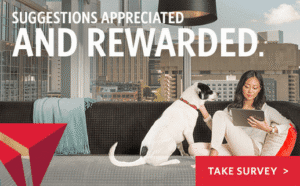a woman sitting on a couch with a dog