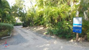 a road with trees and bushes