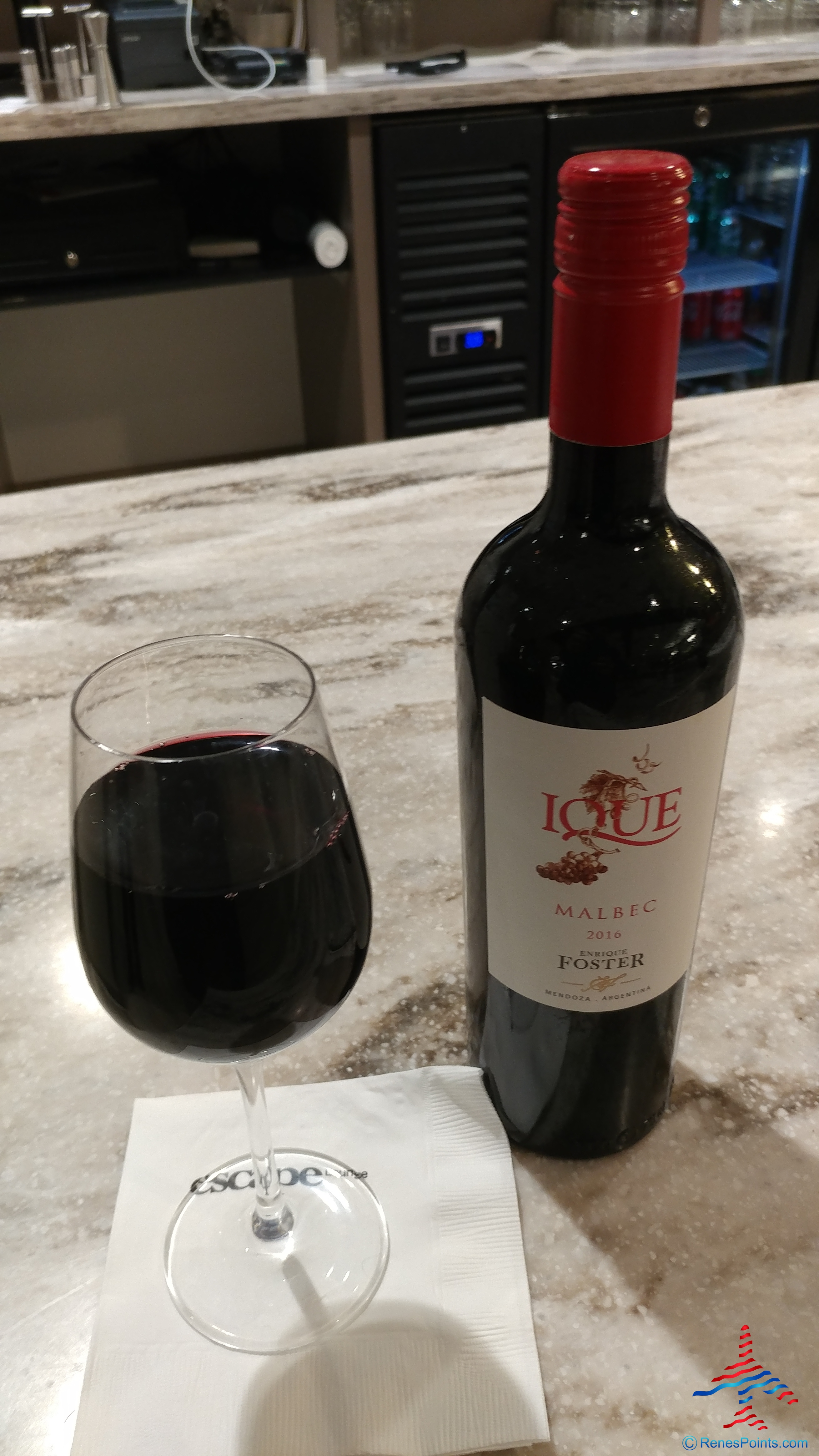 What’s it like to take a Delta (elite) Mileage Run? Yeah, kinda like this – and really fun too!