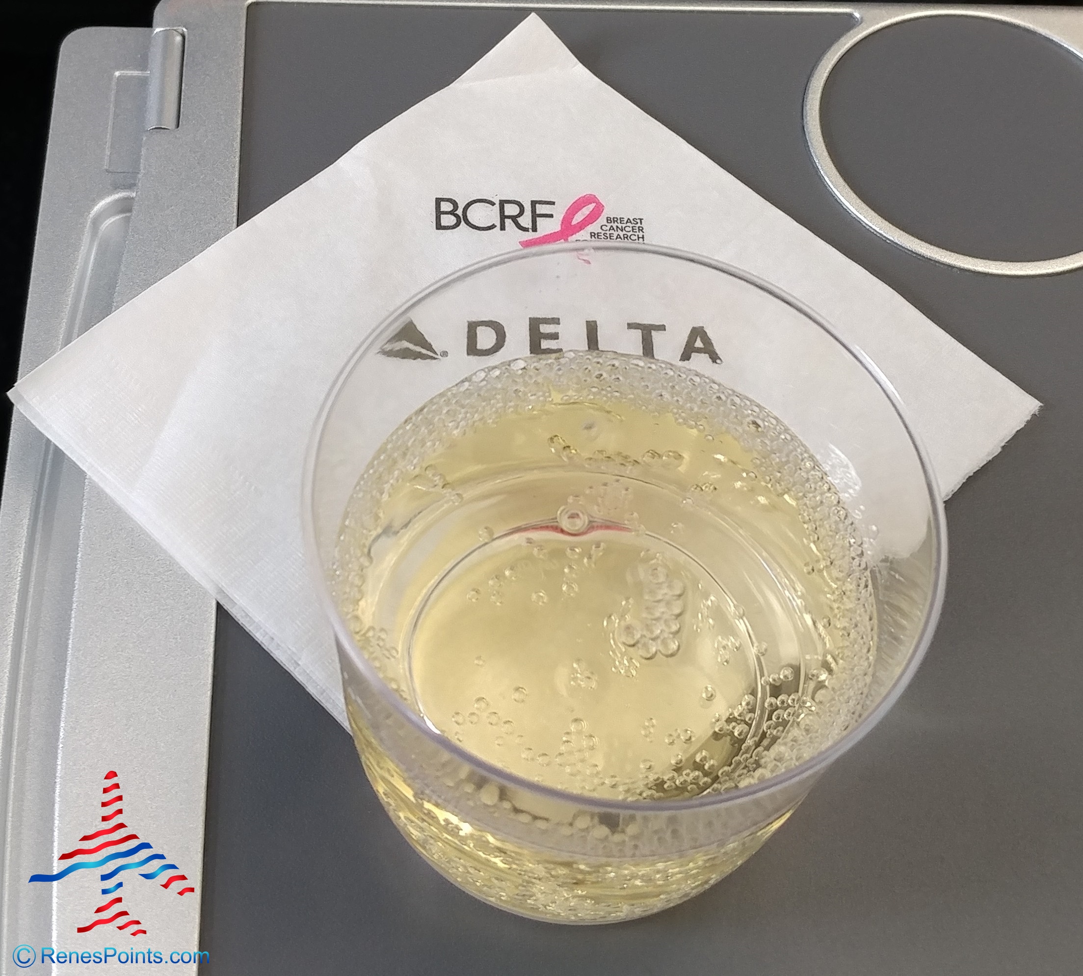 Review: Delta Air Lines Premium Select Experience – Meals, Drinks, Entertainment & more!
