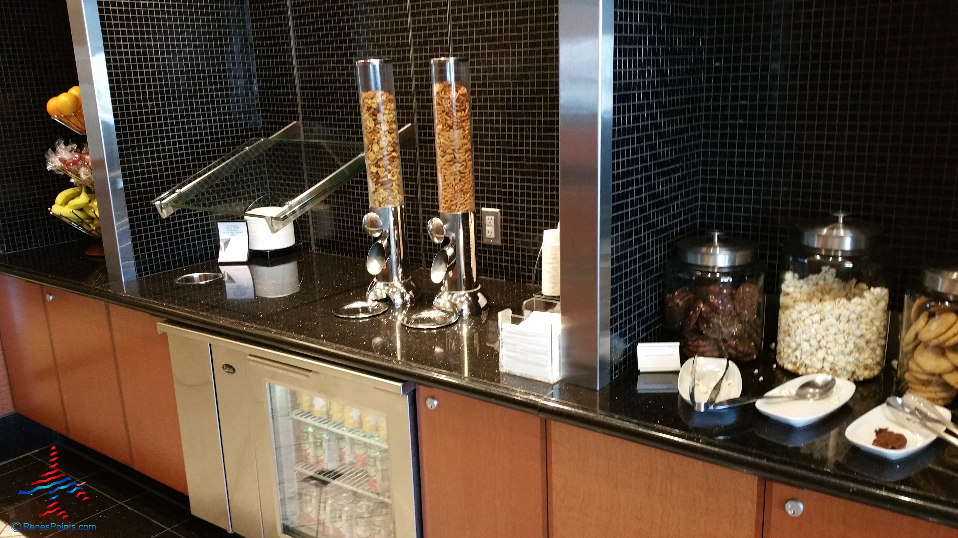 Delta Sky Club Detroit & Minneapolis reviews – Detroit DTW B/C Delta Sky Club – Regional Jets Concourse