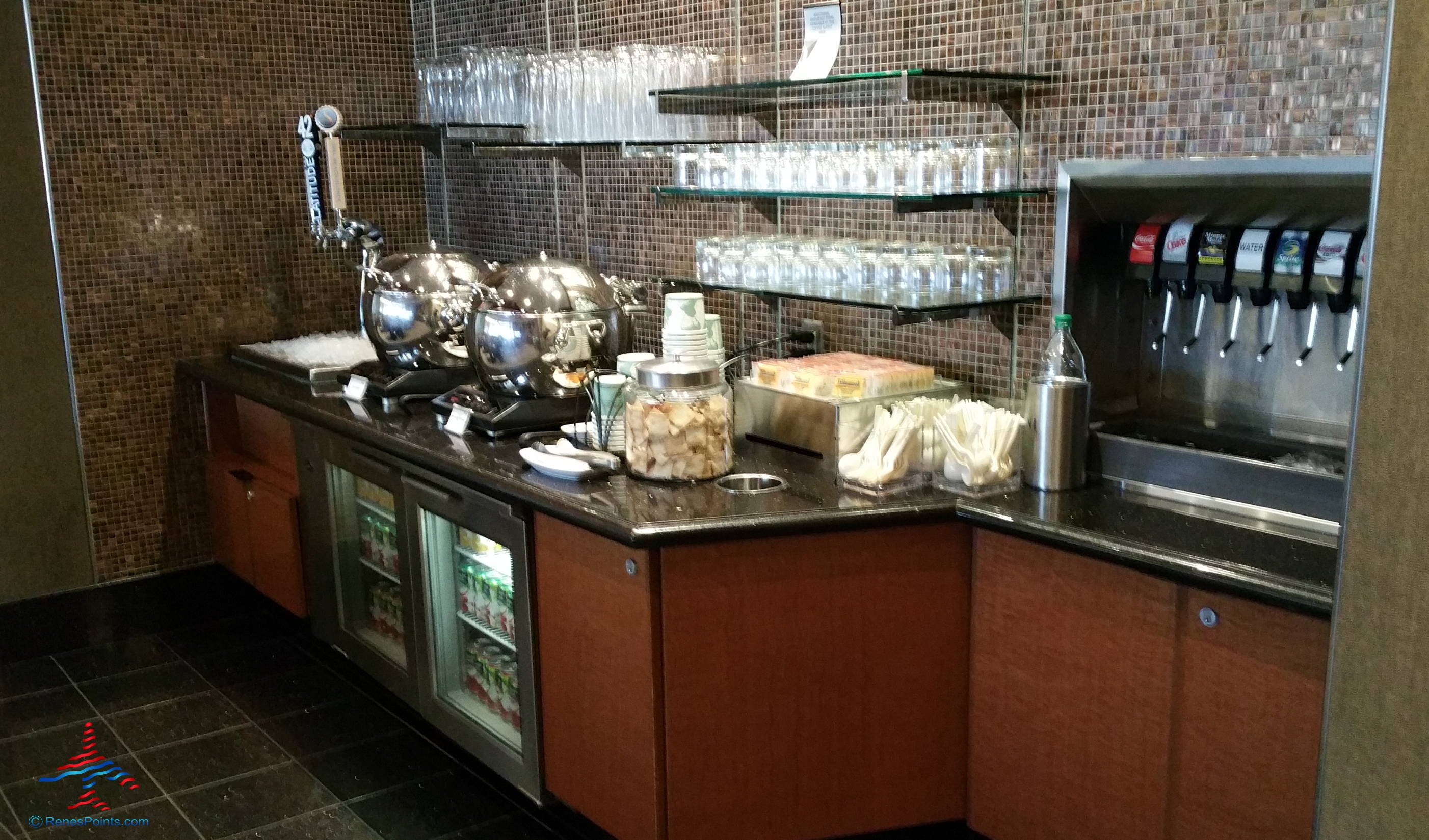 Delta Sky Club Detroit & Minneapolis reviews – Detroit DTW B/C Delta Sky Club – Regional Jets Concourse