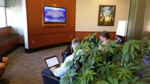 a group of people sitting in chairs with laptops