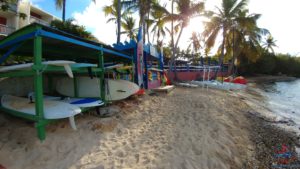 a beach with surfboards and palm trees