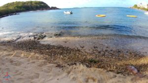 a beach with a boat in the water