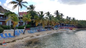 a beach with palm trees and chairs