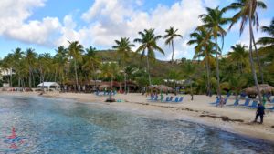 a beach with palm trees and a blue sky