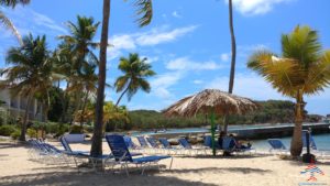 a beach with chairs and umbrellas