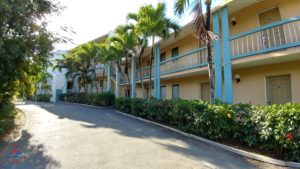 a building with palm trees and a paved road