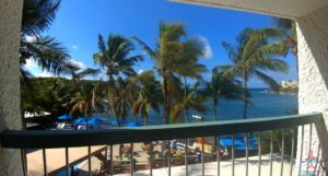 a palm trees and a beach