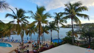 a group of palm trees on a beach