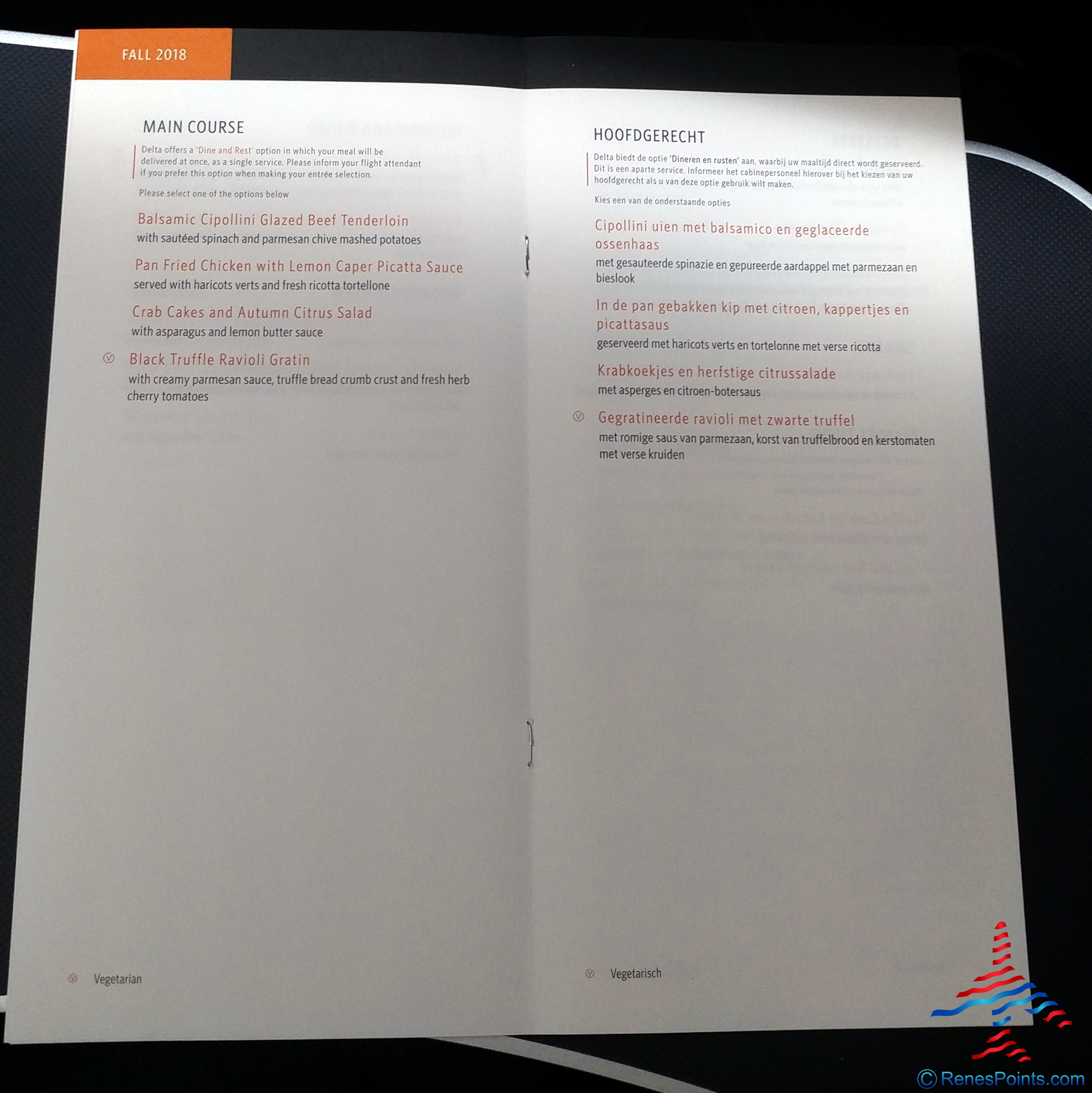 Review: A350 Delta One Suites 5B Delta Air Lines Detroit to Amsterdam DTW-AMS (spoiler alert – I am not that impressed)