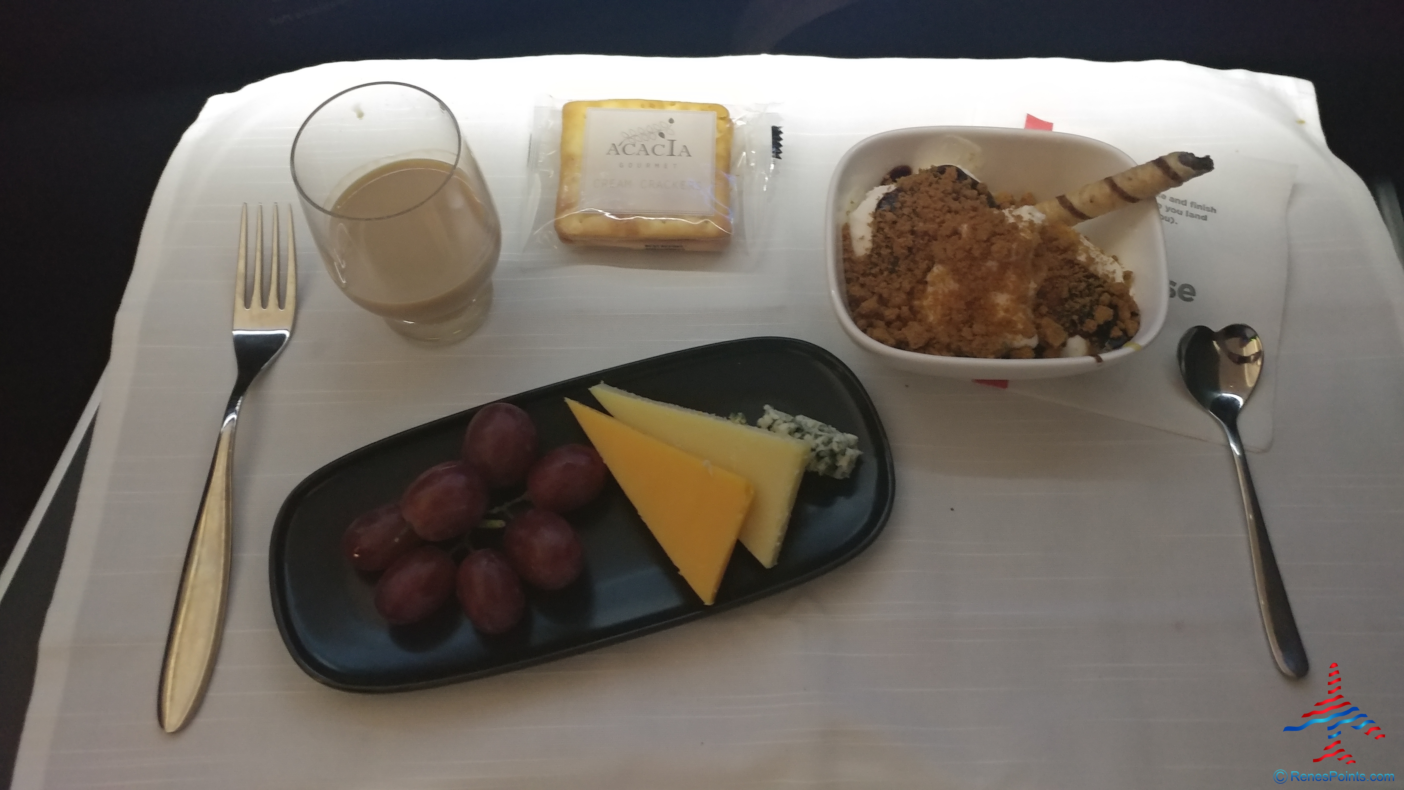 Review: A350 Delta One Suites 5B Delta Air Lines Detroit to Amsterdam DTW-AMS (spoiler alert – I am not that impressed)