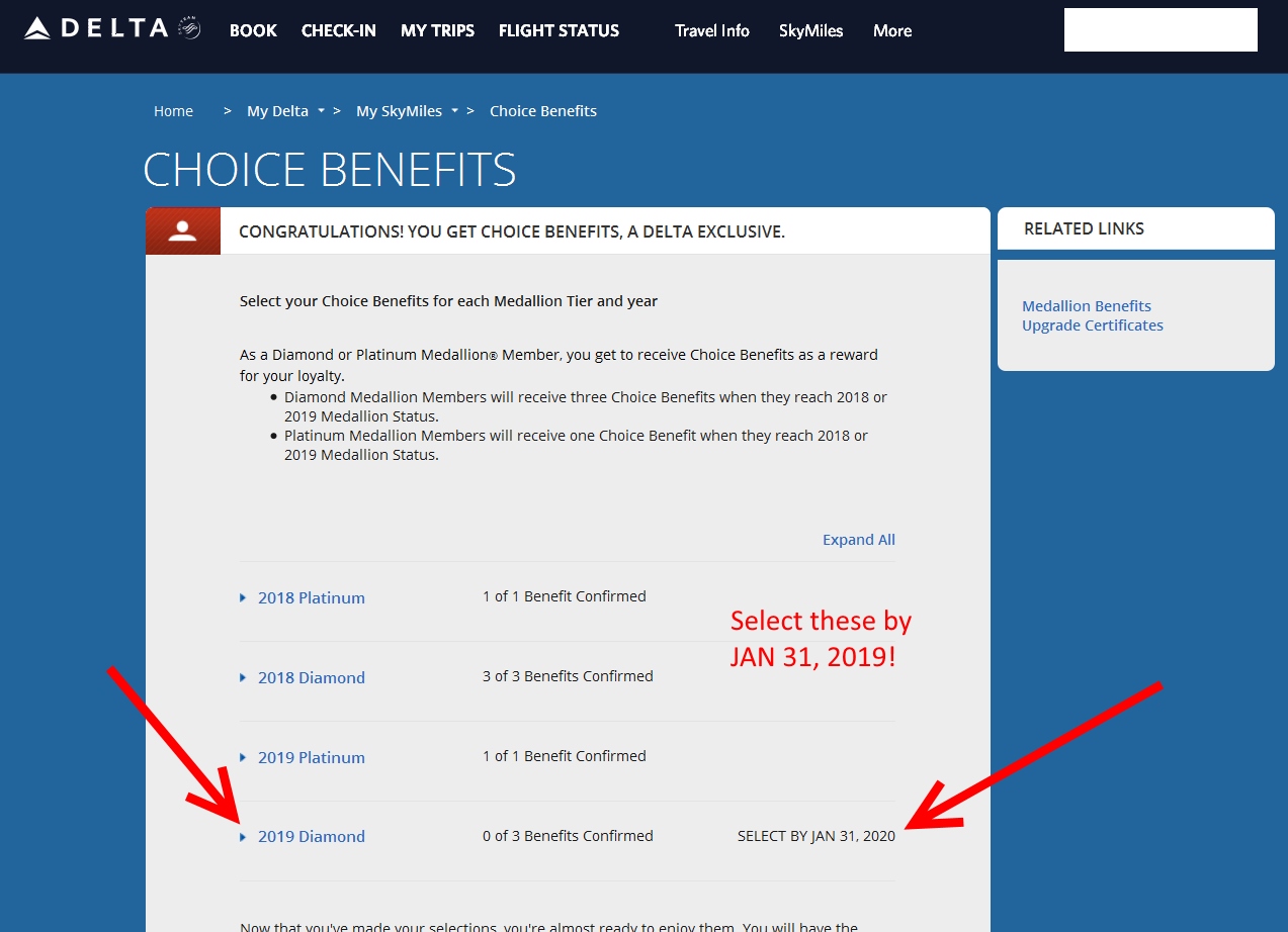 When and What Delta Medallion Elite Choice Benefits Should I Choose for 2018 / 2019?