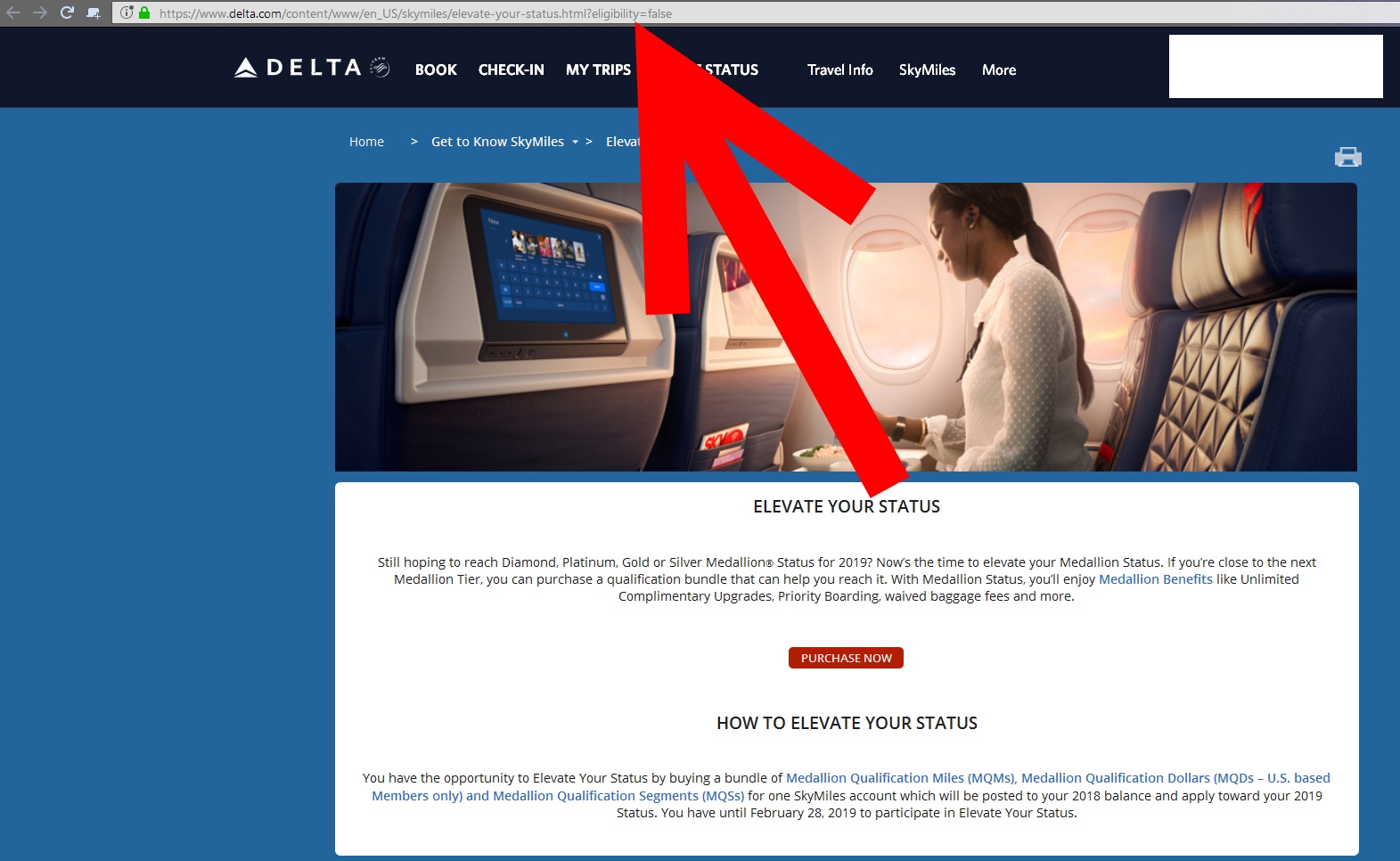 Delta buy Medallion MQM, MQS and MQD 2018 is LIVE at RIDICULOUS prices! This vs. a Mileage Run for status is a no-brainer.