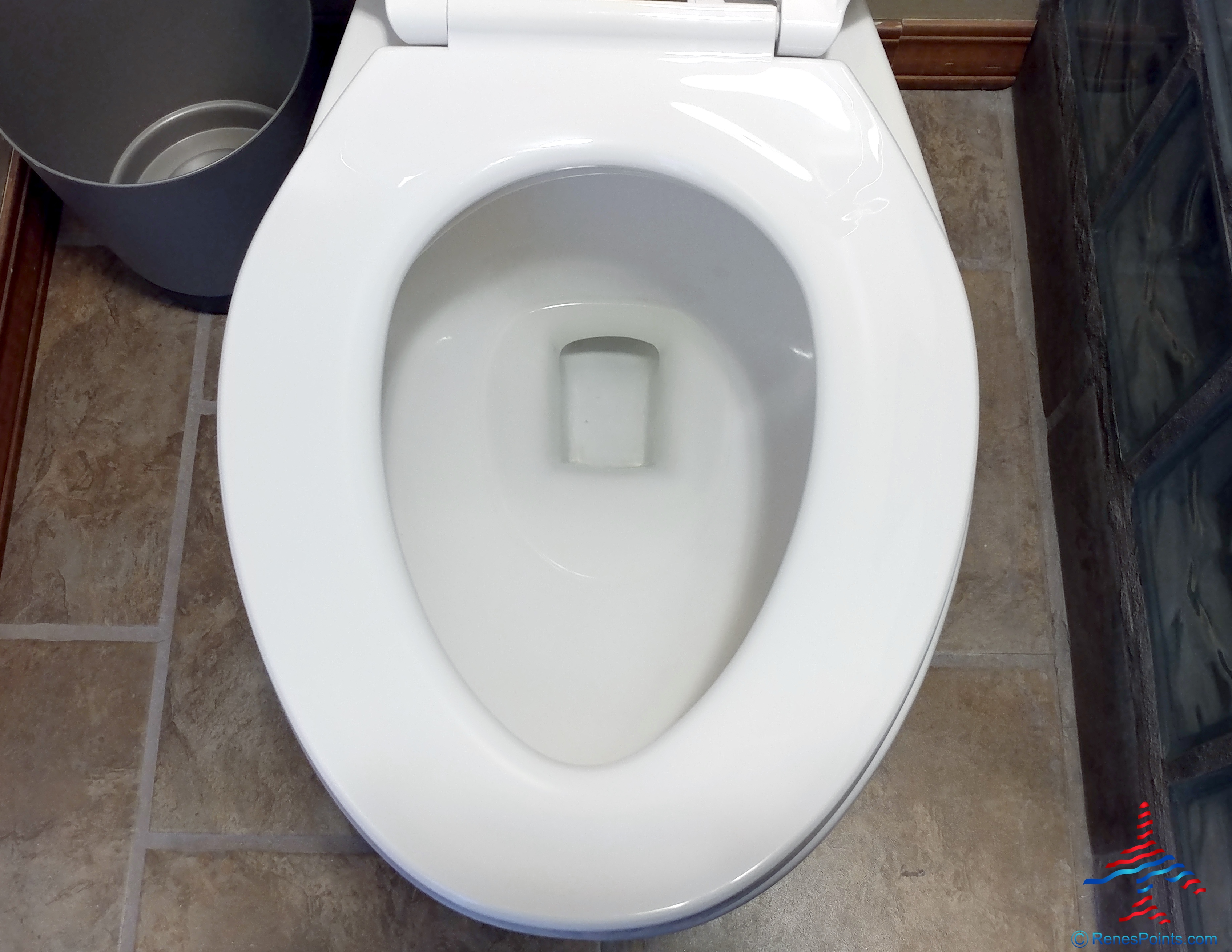 This is the most BRILLIANT idea ever – or the grossest thing ever in a bathroom? (warning: yuck alert)!