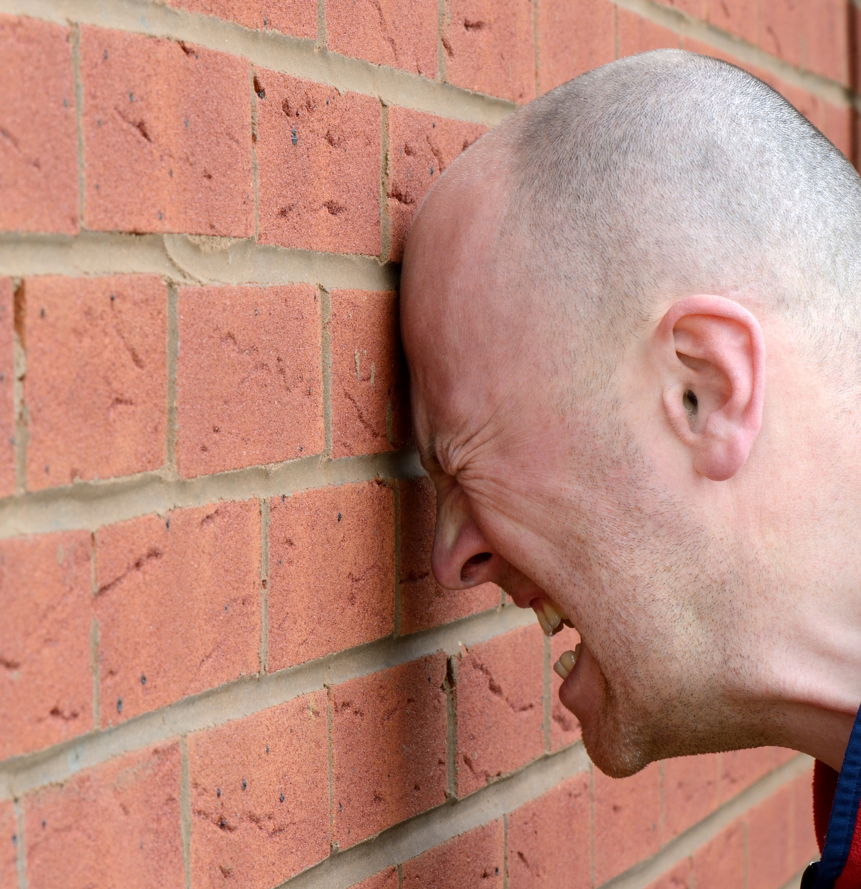 Head Banging Against Wall Eye Of The Flyer